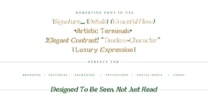 Robertine Font Poster 8
