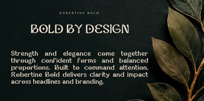 Robertine Font Poster 6