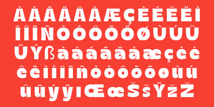 Roya Font Poster 8