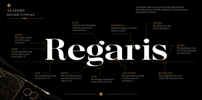 Regaris Font Poster 14