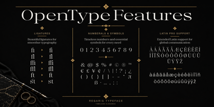 Regaris Font Poster 8
