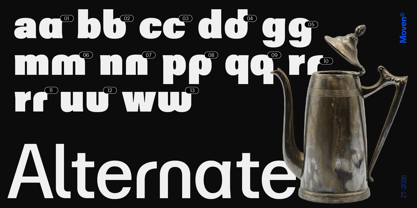 ZT Moven Font Poster 2