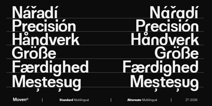 ZT Moven Font Poster 11