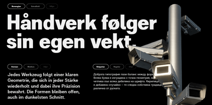 ZT Moven Font Poster 13