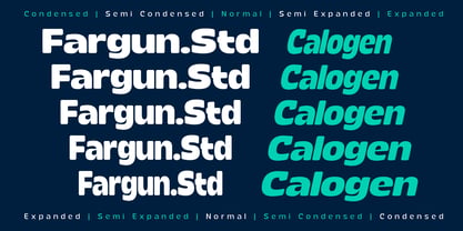 Calogen Soft Font Poster 8