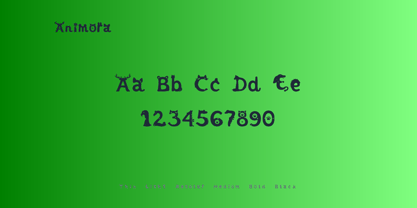 Animora Font Poster 6