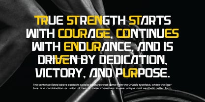 Orvado Font Poster 4