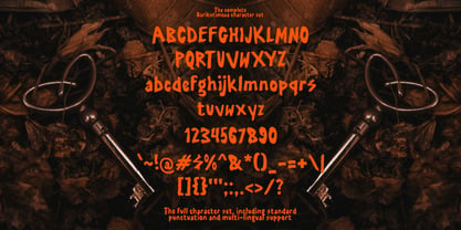 Berikutimewa Font Poster 5