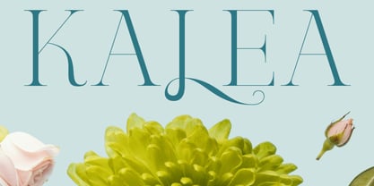 Rasquin Font Poster 4