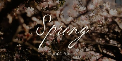 Vordelina Font Poster 8
