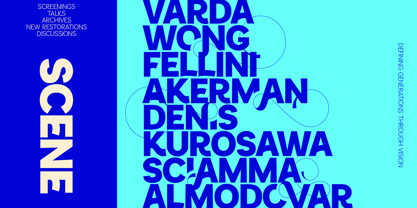 Sansform Font Poster 4
