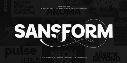 Sansform Font Poster 1