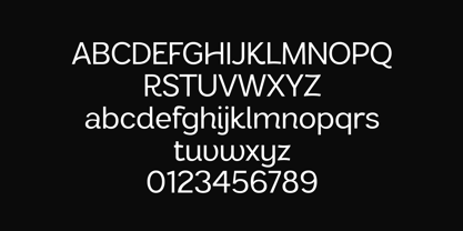 Sansform Font Poster 9