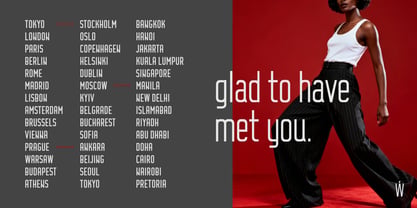 VisineGrid Font Poster 2