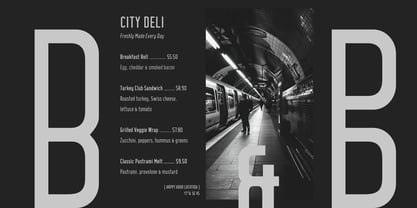 VisineGrid Font Poster 5