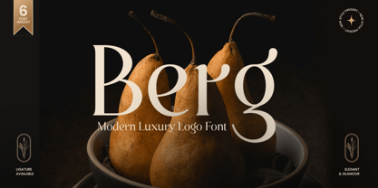 Berg Font Poster 1