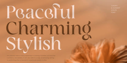 Aislen Font Poster 4