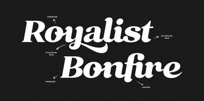Rindlex Font Poster 3