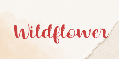 Elorielle Font Poster 9
