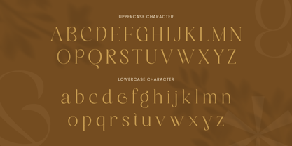 Ramocke Font Poster 10