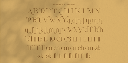 Ramocke Font Poster 9