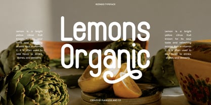 Rizendo Font Poster 4