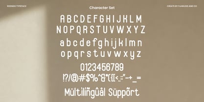 Rizendo Font Poster 9