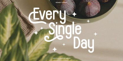 Rizendo Font Poster 6
