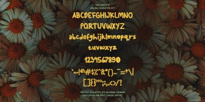 Niblora Font Poster 5