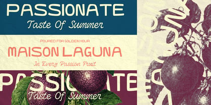 Festoon Lagoona Font Poster 7