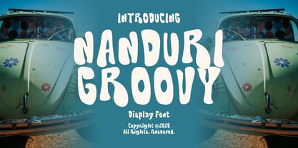 Nanduri Groovy Font Poster 1