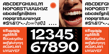 Metika Font Poster 10