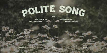Steffu Poifated Font Poster 4