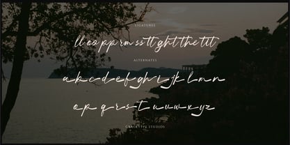 Dialetika Font Poster 12