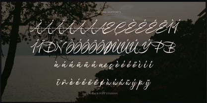 Dialetika Font Poster 11