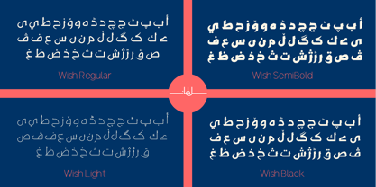 SF Wish Font Poster 9