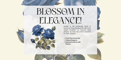 Atteliora Font Poster 6