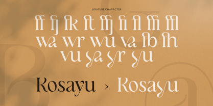 Viyano Font Poster 11