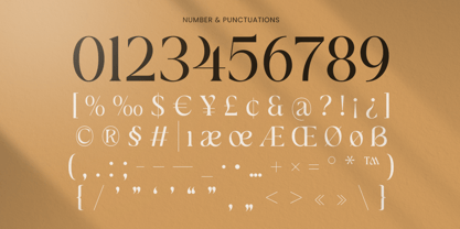 Viyano Font Poster 13