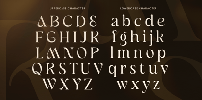 Viyano Font Poster 12