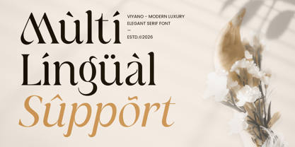 Viyano Font Poster 14