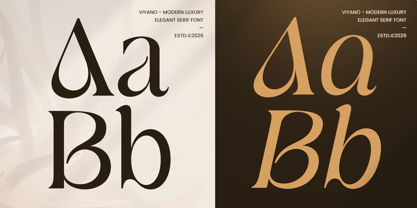 Viyano Font Poster 10