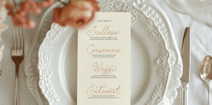 Elegant Rings Font Poster 5