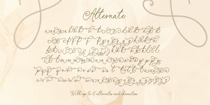 Elegant Rings Font Poster 11