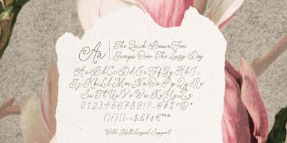 Elegant Rings Font Poster 10