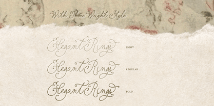 Elegant Rings Font Poster 4