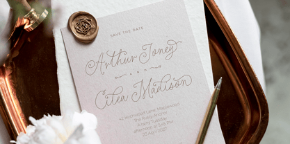 Elegant Rings Font Poster 3
