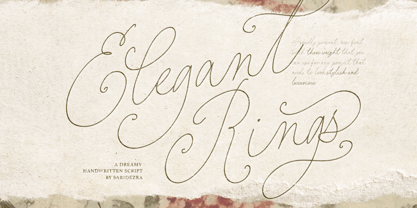 Elegant Rings Font Poster 1