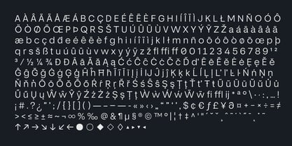 Chamer Font Poster 11