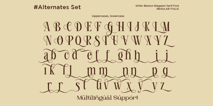 Shifer Blastone Font Poster 10
